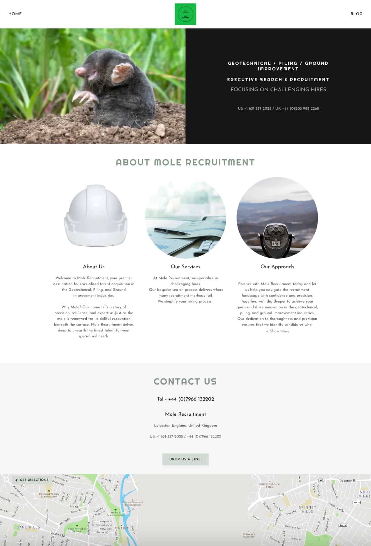 Explore the Mole Recruitment webpage, showcasing a captivating mole image alongside our comprehensive services and contact details. Discover sections on about, services, and approach. A portfolio page highlights our expertise, complemented by contact information and location map.